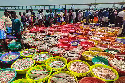 Fishing begins in TN after ban period ended